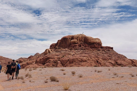 Wadi Rum View Camp: Full-Day Desert Jeep Tour With 3 Meals