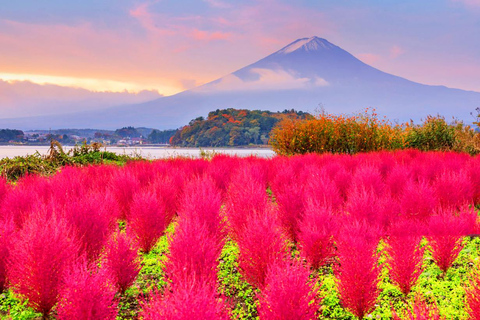 Tokyo: Mt Fuji, Hakone, Cruise, Ropeway & Oshino Hakkai Tour Departure from Shinjuku station 8:30am