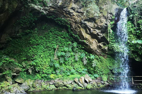 Nordeste watervallen halve dag wandelingPrivébelevenis met de watervallen van Nordeste