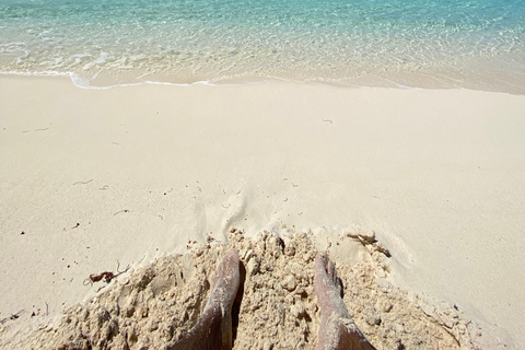 Saona Island VIP: 4 Beaches , Mano Juan & Canto de la Playa 4 Beaches VIP Saona Island: Mano Juan & Canto de la Playa