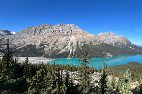 Calgary: Columbia Icefield & Bow Lake & Peyto Lake With Ice Explorer Adventure Ticket (Recommended)