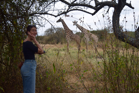 Arusha: Paseo con jirafas