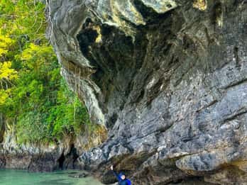 Langkawi Mangrove Tour : Estimated 3 hours Lunch Available