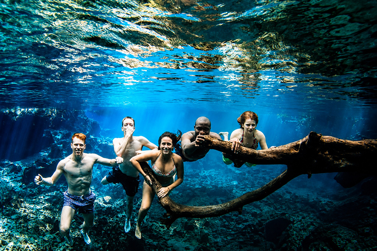From Moshi/Arusha:Family Materuni Falls, Coffee & Springs