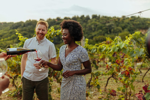 Vistas and Wines : Visite privée des joyaux et des vins d&#039;Adélaïde