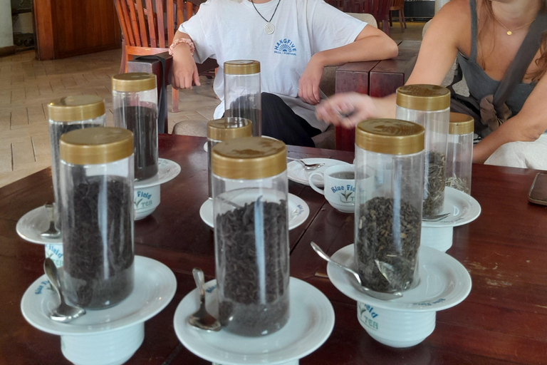 Sri Lanka: 15-Day Guided Tour with Transfers & Hotels