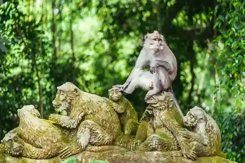 Ubud : forêt de singes, rizière, balançoire, temple et cascade