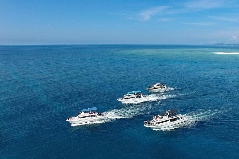 冲绳那霸：庆良间群岛半日观鲸之旅半日观鲸之旅（含酒店接送服务）