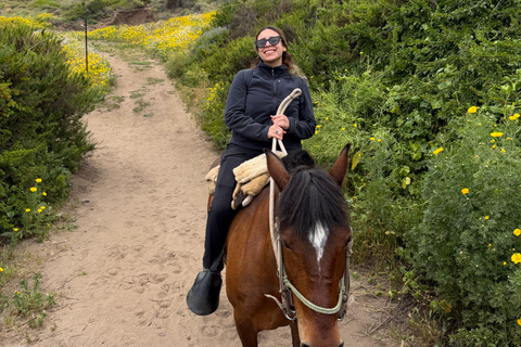 From Santiago: Papudo Horseback Ride & Penguin Watching