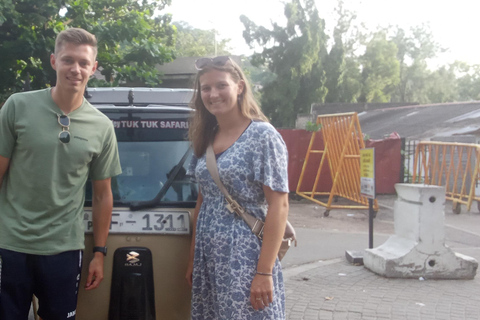 Kandy to Sigiriya Day Tour