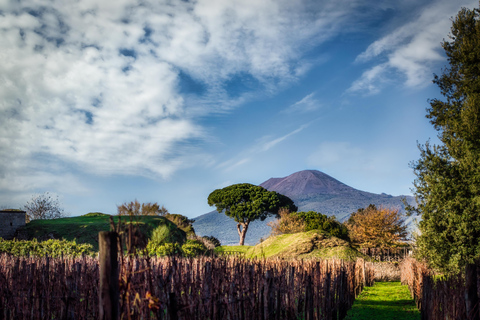 Naples Port: Mount Vesuvius and Pompeii Tour with Transfers