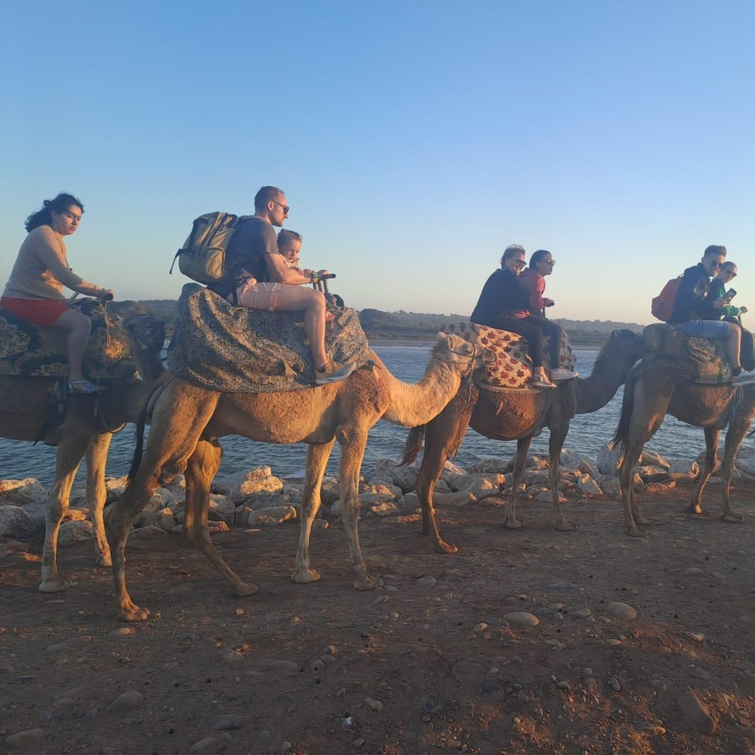 Agadir : balade à dos de chameau ou à cheval, barbecue et transfert au coucher du soleil (en option)