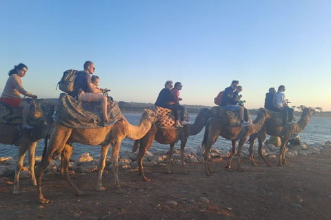 Agadir :Sunset Camel Ride with BBQ Dinner & Transfer