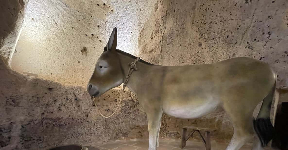 Afbeelding 25 van Matera: Proeverij van lokale producten en wijn in oude grotten in de Sassi