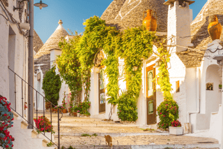 Tour guidato dei Trulli di Alberobello con trasferimento incluso