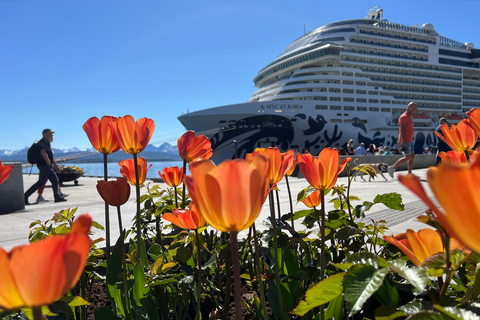 Molde: Atlantische Oceaanweg, Kvernes Staafkerk &amp; meer