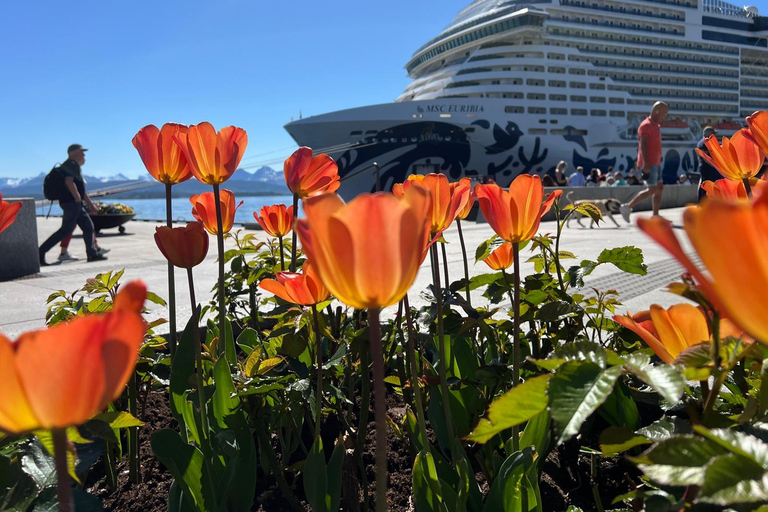 Molde: Atlantische Oceaanweg, Kvernes Staafkerk &amp; meer