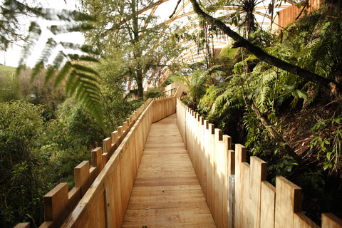 Vanuit Auckland: Waitomo glimworm en Ruakuri grotten dagtour