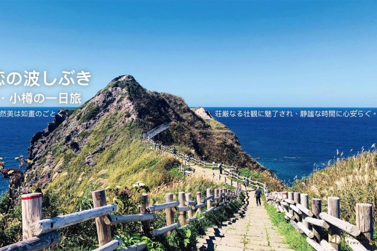Hokkaido: Shakotan Blue, Yoichi Distillery & Otaru Day Trip Lunch: Standard Seafood