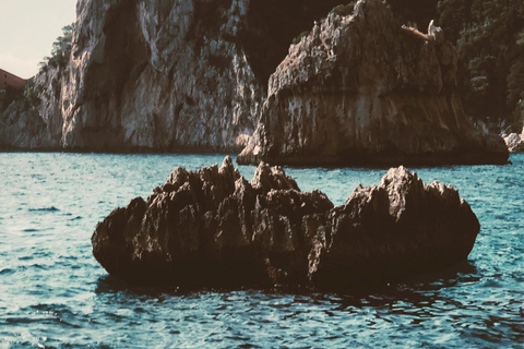 Desde Sorrento: Crucero en barco por Capri con baño y Prosecco