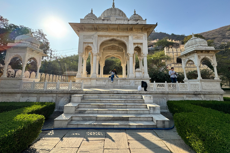 Jaipur: Tour panoramico privato di un giorno intero in Tuk-Tuk