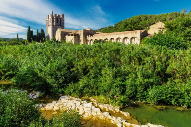 Visit Spectacular vineyard and historical Lagrasse Tour in Peyriac-de-Mer