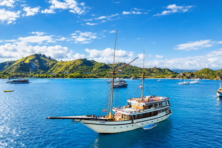 Labuan Bajo: 5-Day Komodo to Gili Trawangan Whale Shark Tour Standart Boat | Sharing Deck | No WHALE SHARK