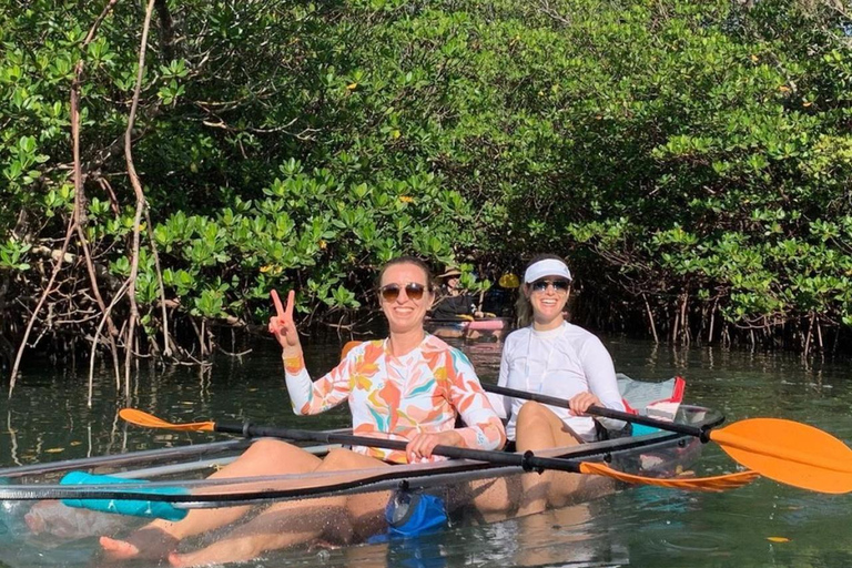 Fort Pierce: Clear Kayak Tour with Wildlife Sightings