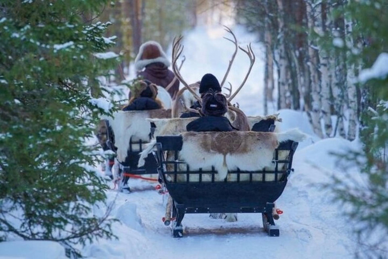 Traditional Reindeer Farm Visit with a Short Sleigh Ride