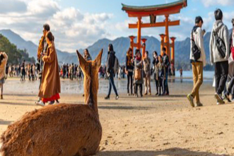 Hiroshima: Private Tour with Miyajima and Peace Park
