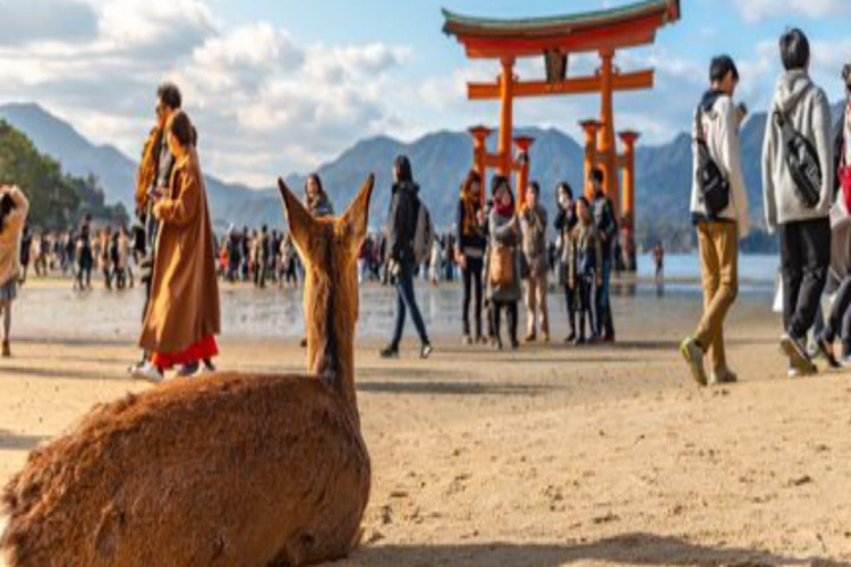 Hiroshima: Private Tour with Miyajima and Peace Park