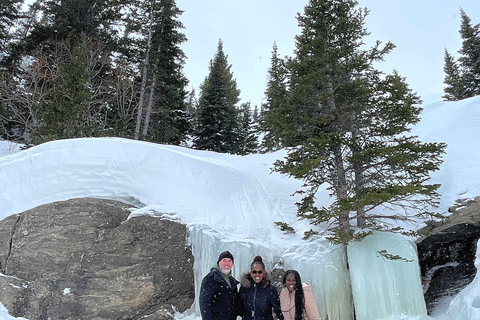 Au départ de Denver : Circuit hiver/printemps dans le parc national des Rocheuses