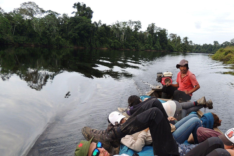 Iquitos Monkey Island Tour | Delfine, rosa und grau