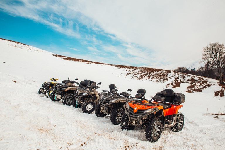 Busteni: Guided ATV Quad Bike Adventure