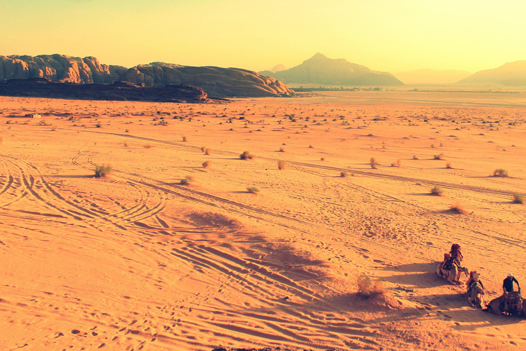 De Djerba e Zarzis : Noite selvagem no deserto