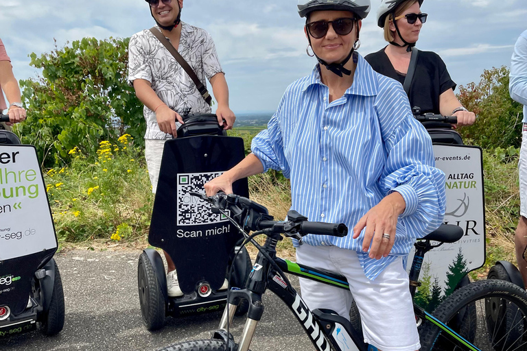 Baden-Baden: Private e-Mountainbike Tour with local Guide