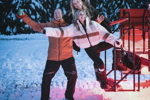 Whistler: Holiday Sleigh Ride