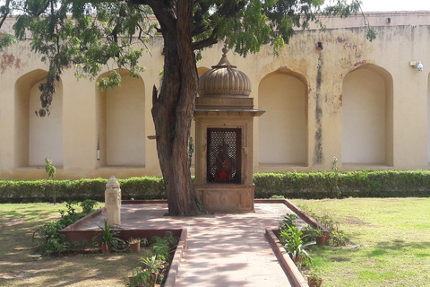 7 días en la india por el Taj Mahal con safari en ranthambore por el tigreExcursión sólo con alojamiento, coche y guía