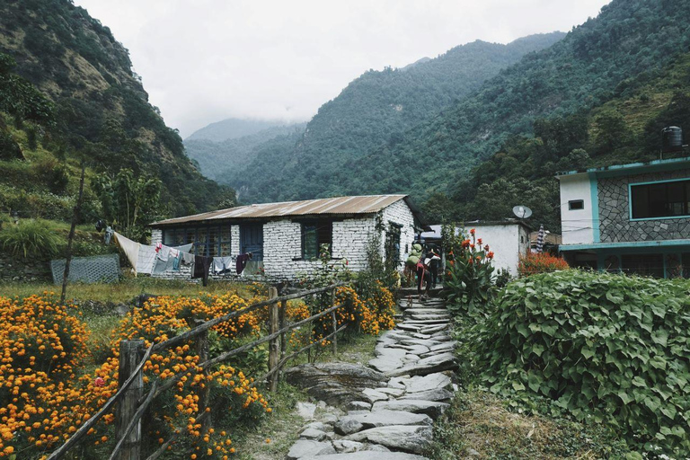 Pokhara: 4-Day Mardi Himal Base Camp Trek
