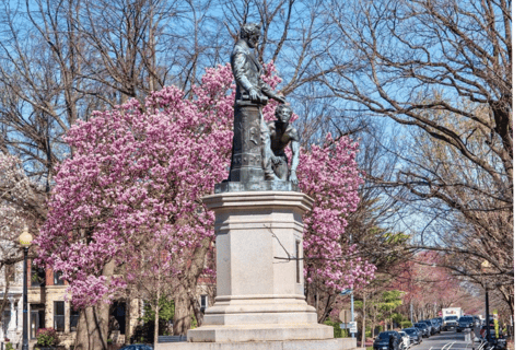 African American History Private Tour w/ Museum Entry