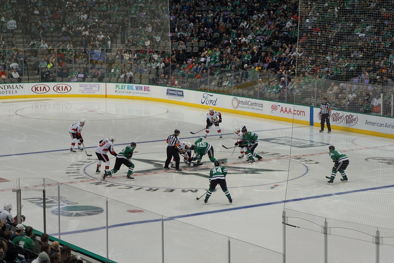 Dallas: Dallas Stars NHL Ice Hockey Game Ticket Lower Goal