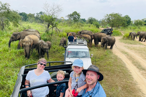 Sigiriya/Dambulla/Habarana: Safari i Minneriya nationalpark