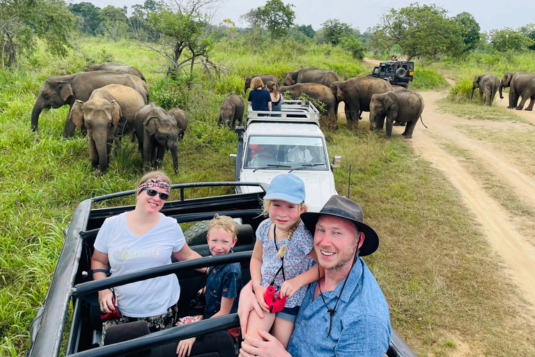 Safari dans le parc national de Minneriya en Golden Hours 4x4 Jeep