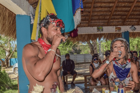 Explora Punta Cana en Buggy Emotion y adrenalina sin límites