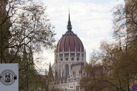 Pest Panorama: Tour with Oldest Metro in Europe and Tram