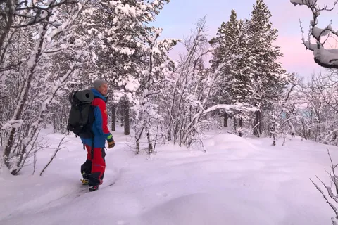 Snowshoe in a Winter Forest