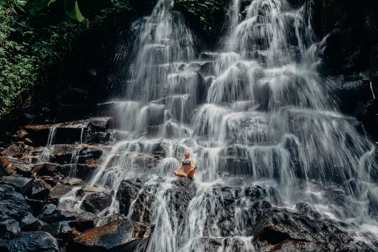 Ubud Half-Day Tour: Rice Terrace, Waterfall & Coffee Ubud Area Pickup – Without Entry Tickets