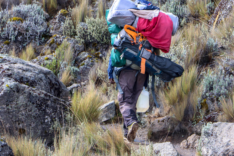 Mount Kenya: The Ultimate ChallengeClimbing Mount Kenya: The Ultimate Challenge