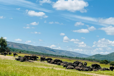 Safari de 1 dia na vida selvagem de Akagera e passeio de barco1 dia de Safari pela vida selvagem em Akagera e passeio de barco