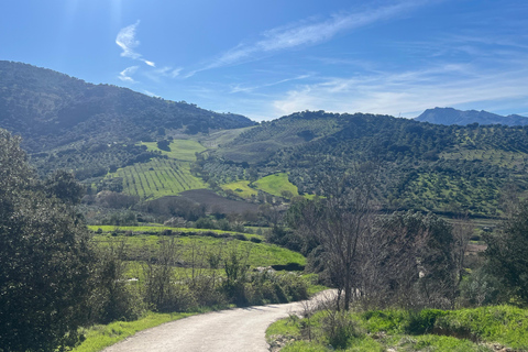 Ronda: Hiking with Local Guide